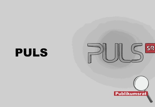 Bild von Im Fokus des Publikumsrats: «Puls»