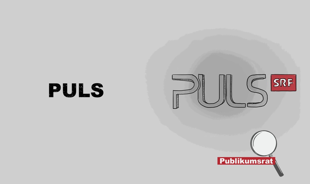 Bild von Im Fokus des Publikumsrats: «Puls»