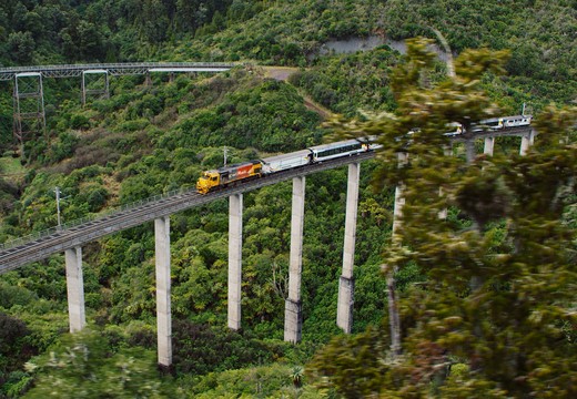 Bild von «SRF DOK»: Mit dem Zug durch Neuseeland – Der Norden: Das vulkanische Herz
