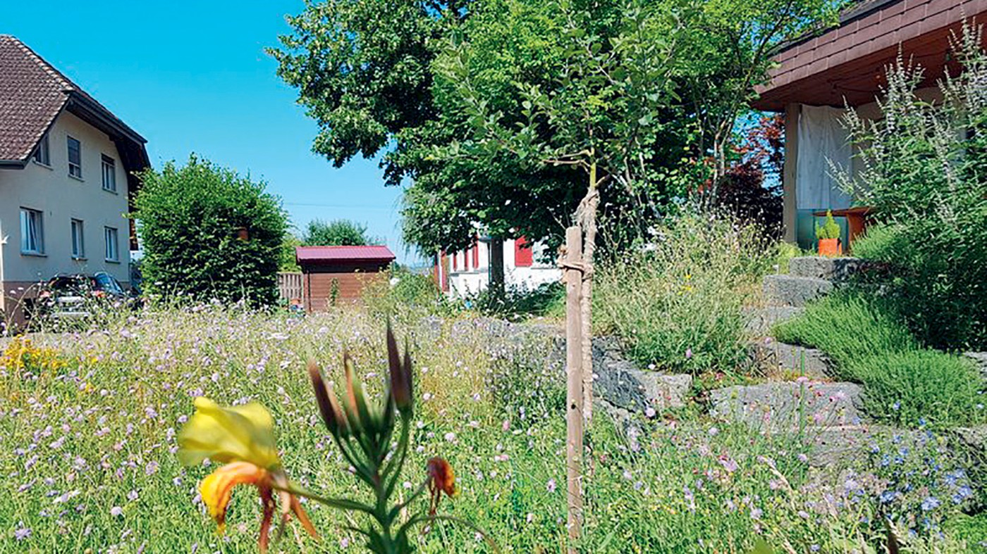 Insekten-Eldorado von Judith und Daniel, Halten.