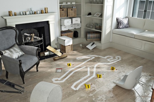 Bild von Der Krimiwelt auf die Schliche gekommen