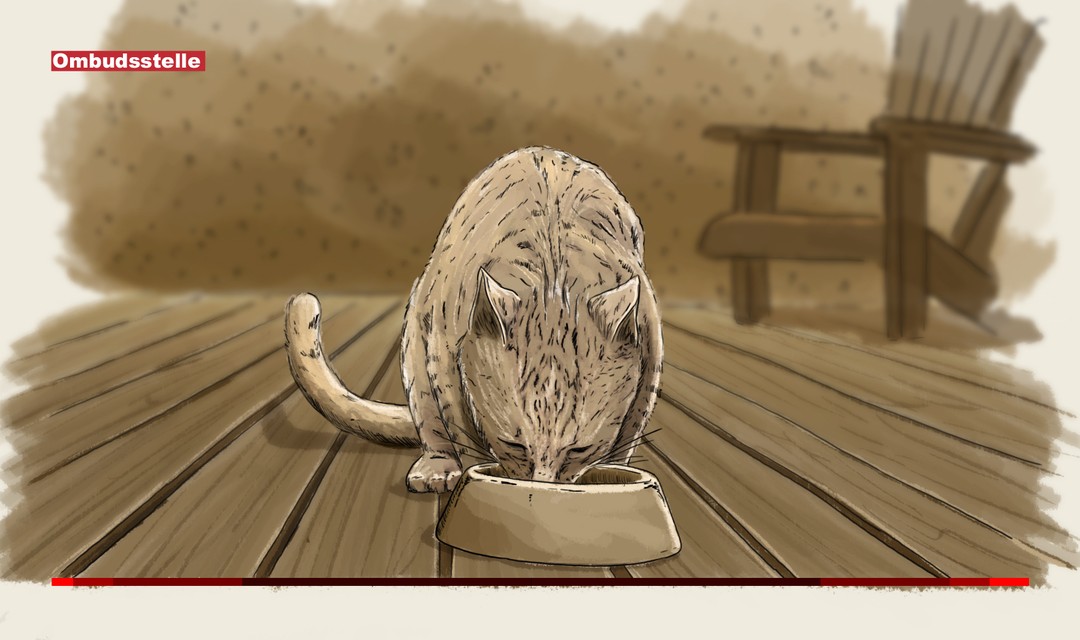 Illustration: Eine Katze frisst aus einem Napf auf einer Terrasse