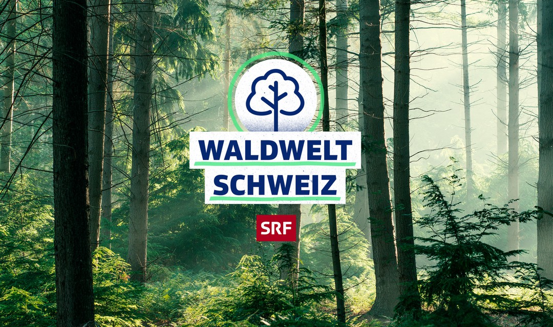 Waldwelt Schweiz Keyvisual