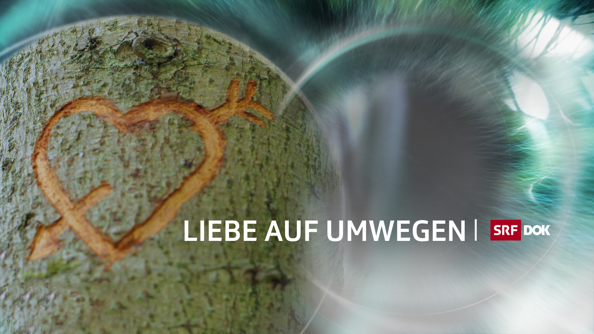 «Liebe auf Umwegen» Beim zweiten Anlauf klappt's News SRG